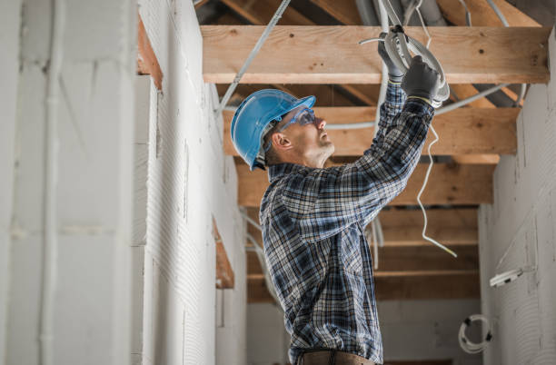 Best Electrician for Home Renovation  in Fritch, TX